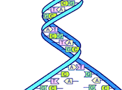 dna-lagring-medium