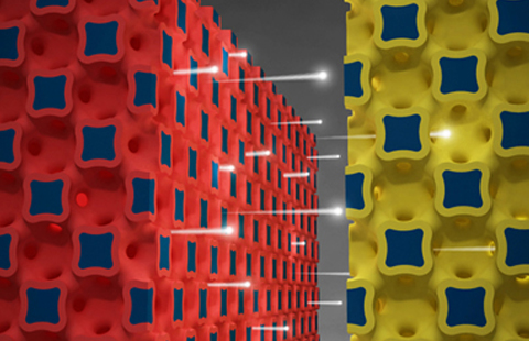Foto: Beckman Institute for Advanced Science and Technology
